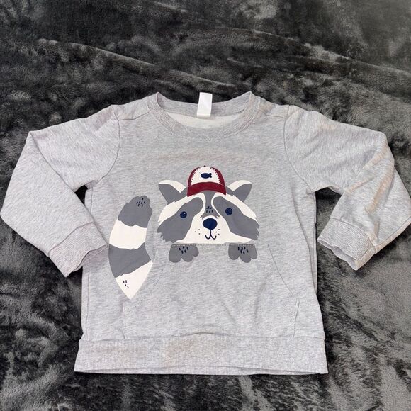 5t carters raccoon sweatshirt - Picture 1 of 2